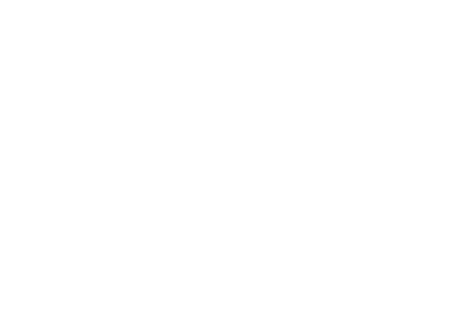 Insystem Footer logo
